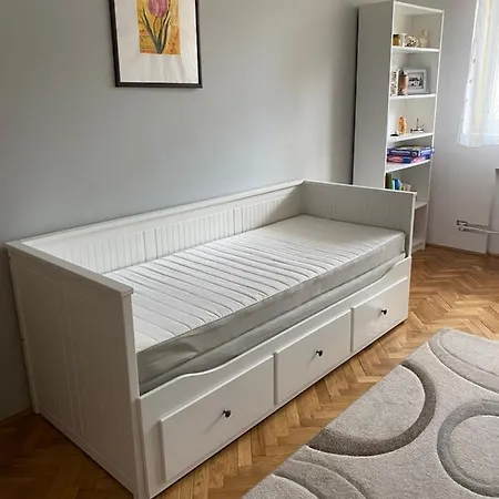 Pálma * Szentes